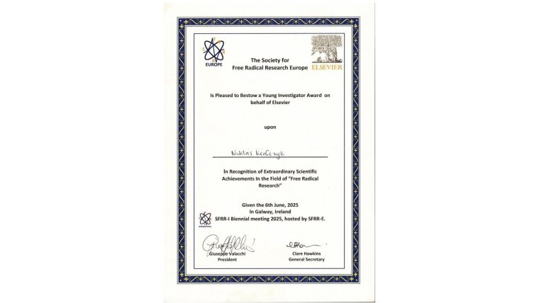 SFRR Young Investigator Award 2025